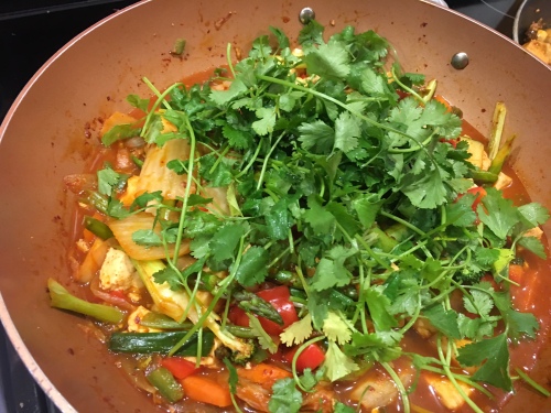 healthy-korean-style-stew-2
